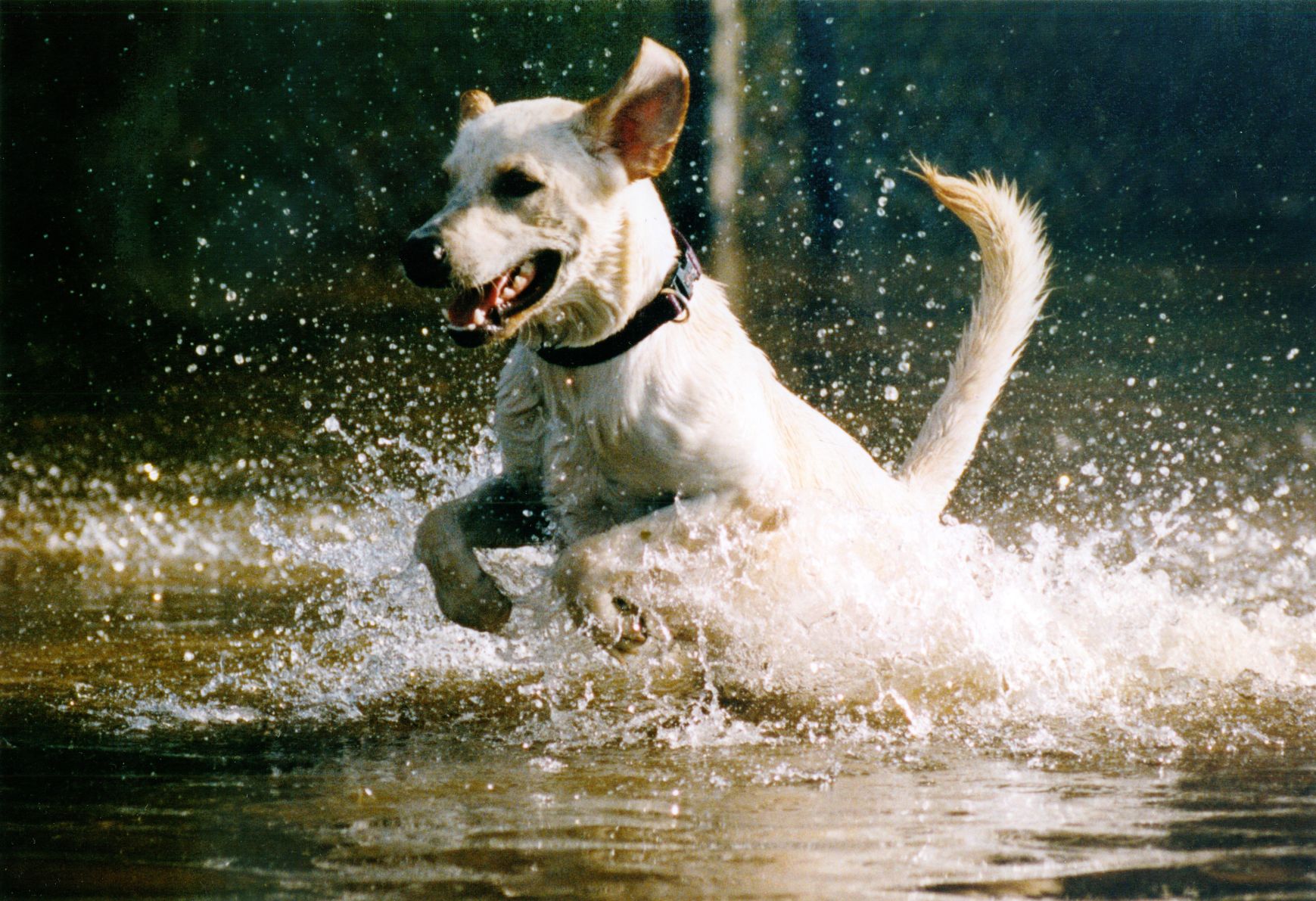 19930708 -- Flood of 1993